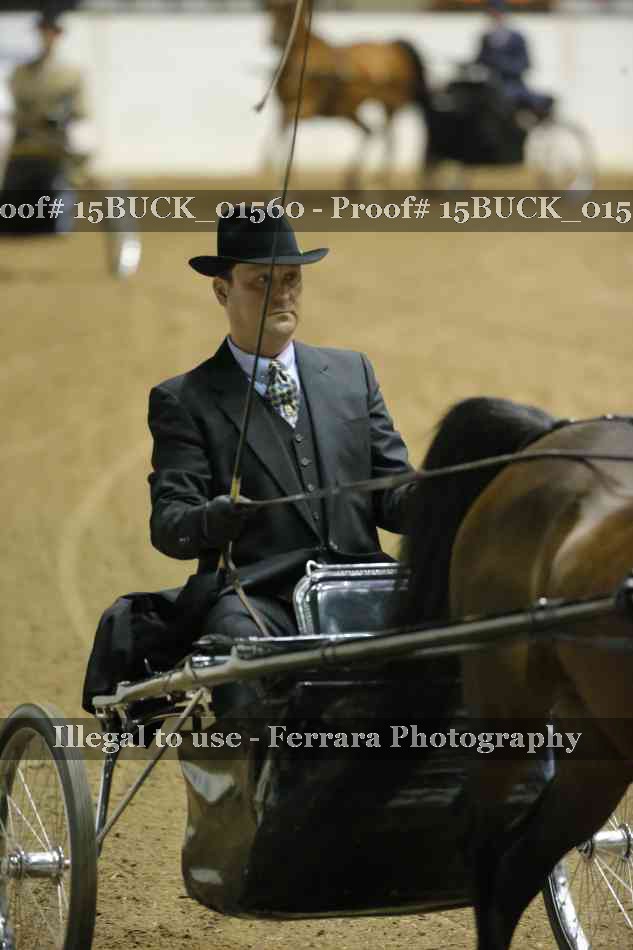 Proof 15BUCK_01560