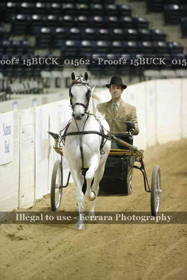 Proof 15BUCK_01562