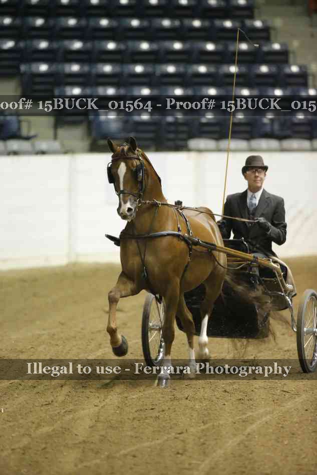 Proof 15BUCK_01564