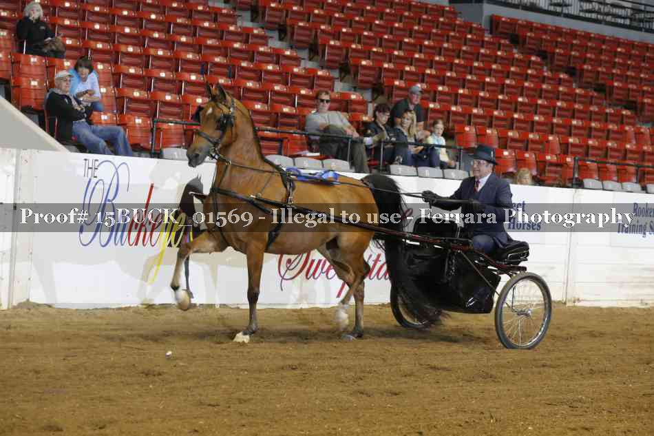 Proof 15BUCK_01569