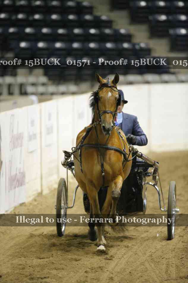 Proof 15BUCK_01571