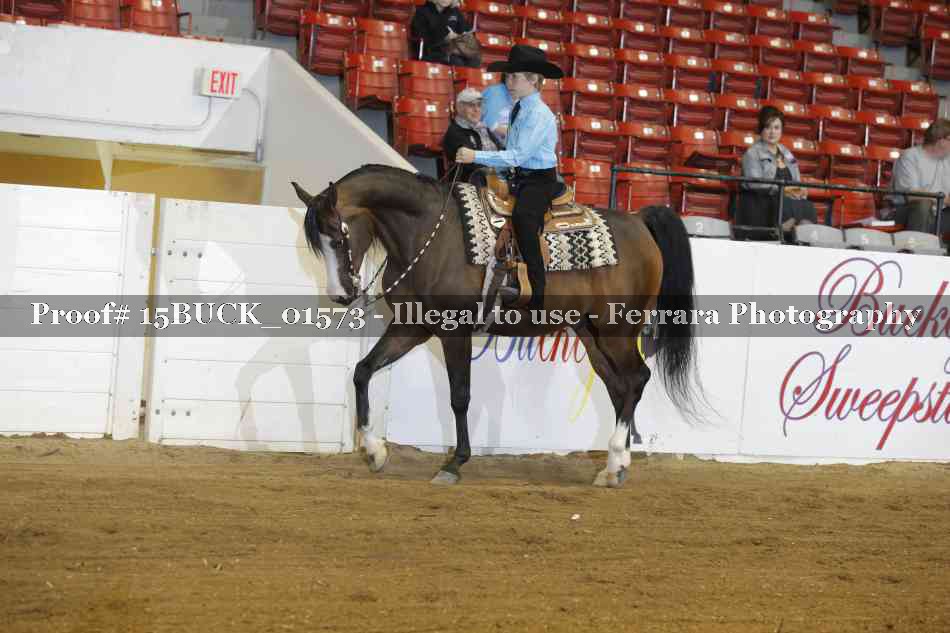 Proof 15BUCK_01573