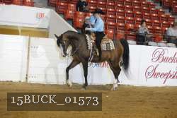 15BUCK_01573 proof