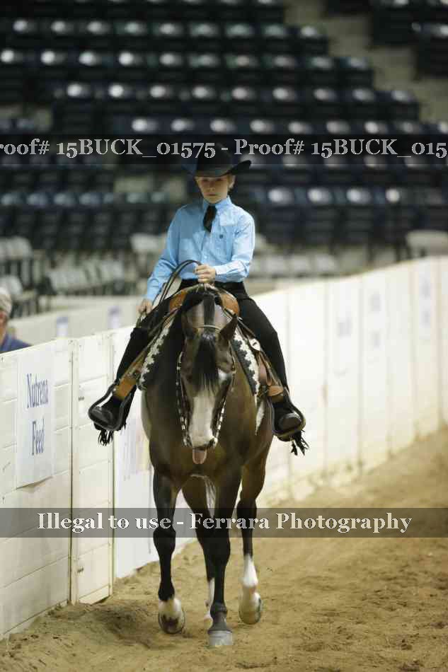 Proof 15BUCK_01575