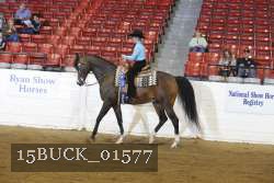 15BUCK_01577 proof