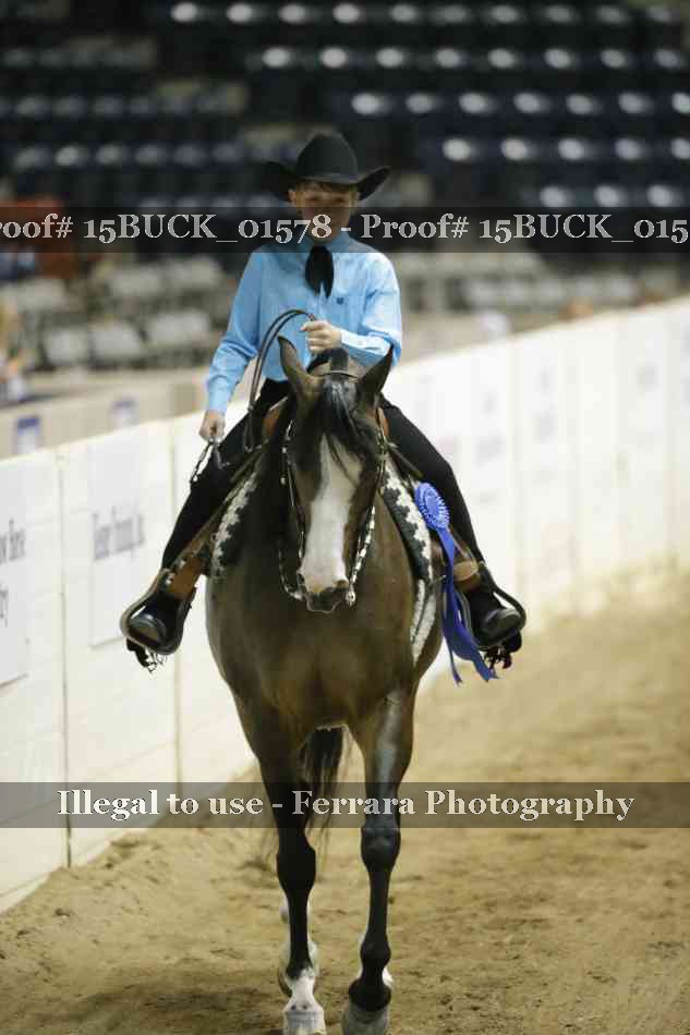 Proof 15BUCK_01578