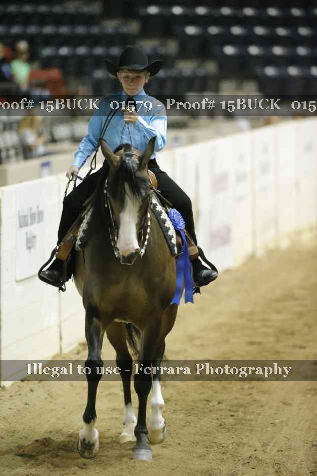 Proof 15BUCK_01579