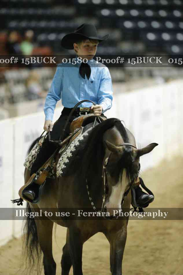 Proof 15BUCK_01580
