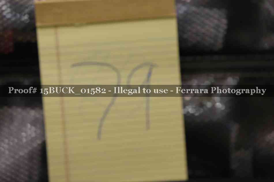 Proof 15BUCK_01582