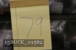 15BUCK_01582 proof