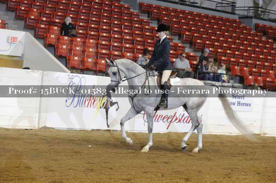 Proof 15BUCK_01583