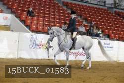 15BUCK_01583 proof