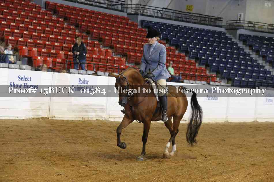 Proof 15BUCK_01584