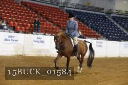 15BUCK_01584 proof