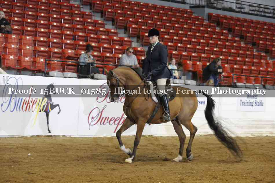 Proof 15BUCK_01585