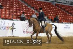 15BUCK_01585 proof