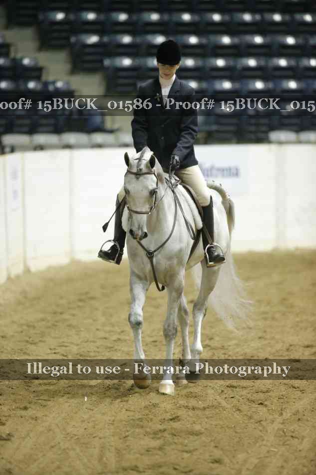 Proof 15BUCK_01586