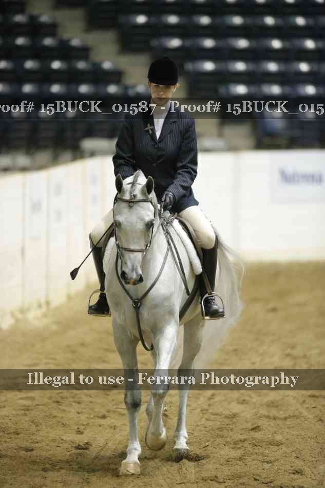 Proof 15BUCK_01587