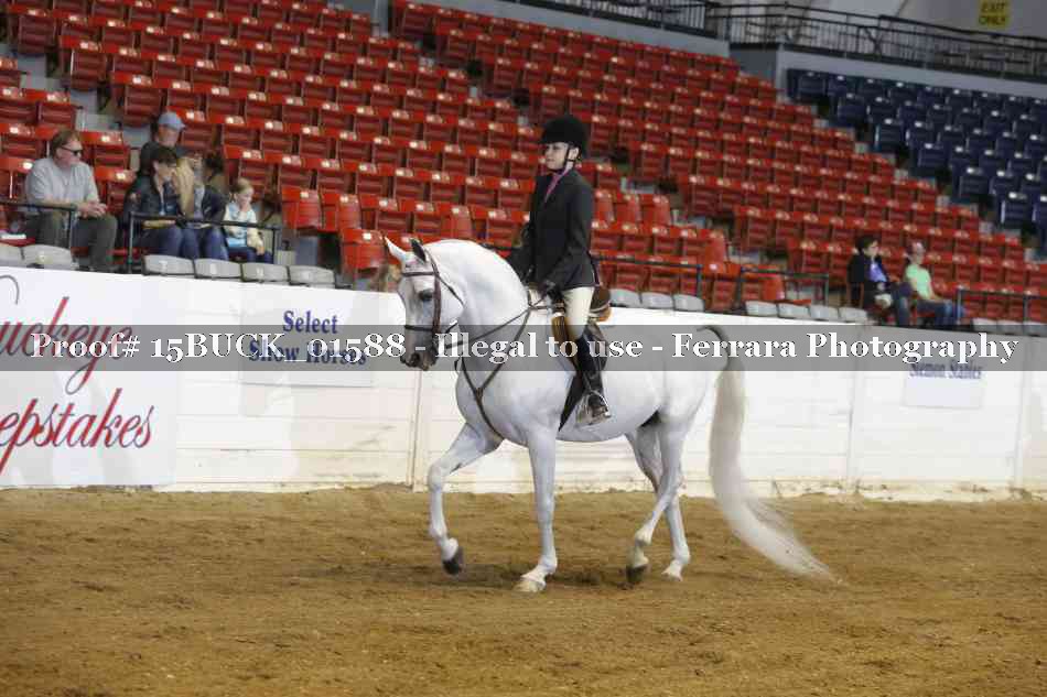 Proof 15BUCK_01588