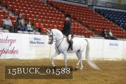 15BUCK_01588 proof