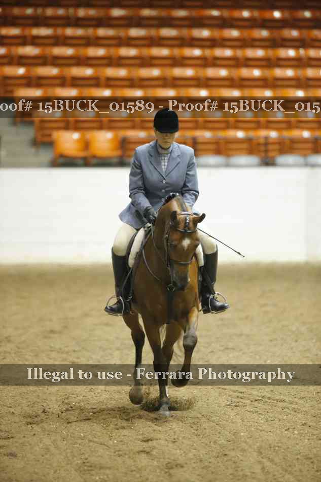 Proof 15BUCK_01589