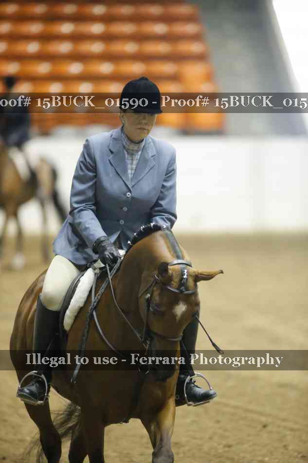 Proof 15BUCK_01590