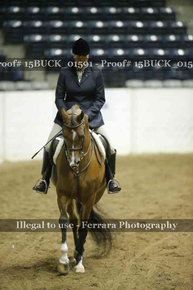 Proof 15BUCK_01591