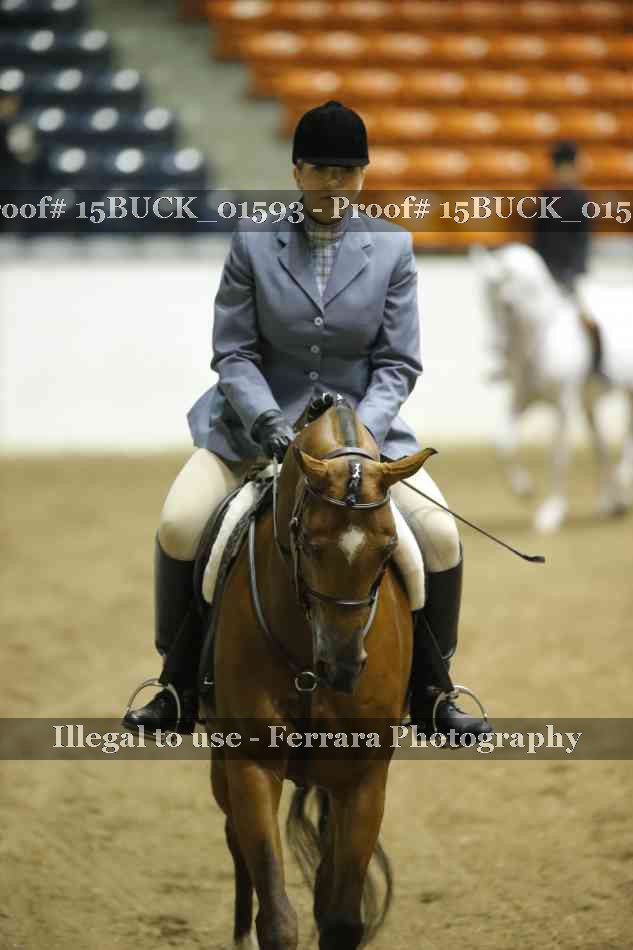 Proof 15BUCK_01593