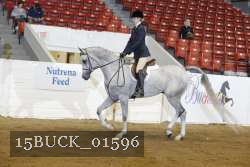 15BUCK_01596 proof
