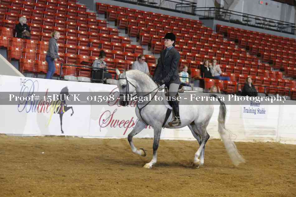 Proof 15BUCK_01598