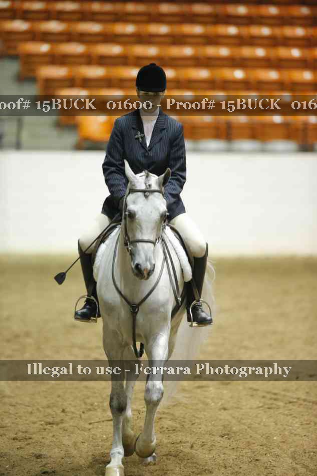 Proof 15BUCK_01600