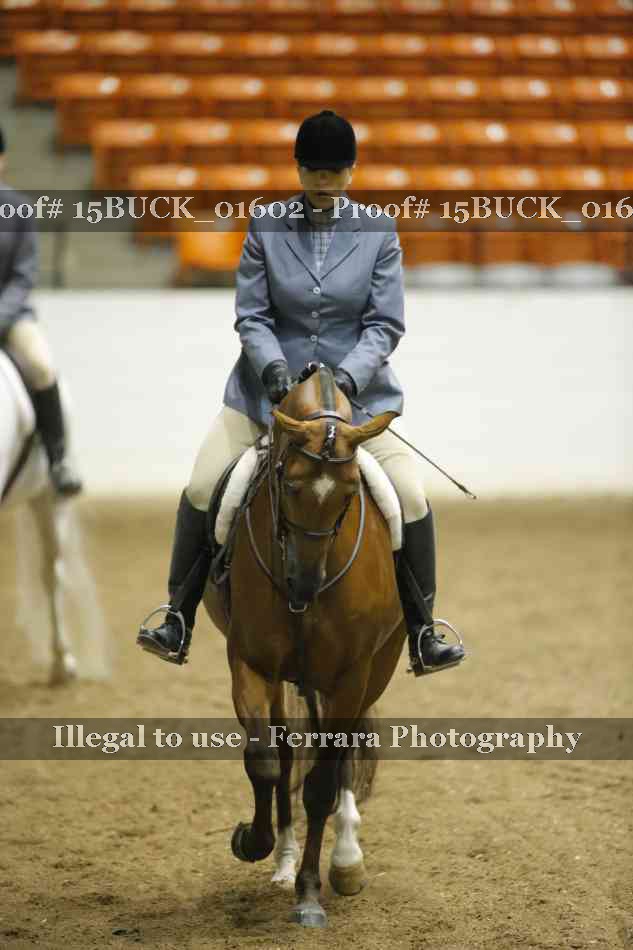 Proof 15BUCK_01602