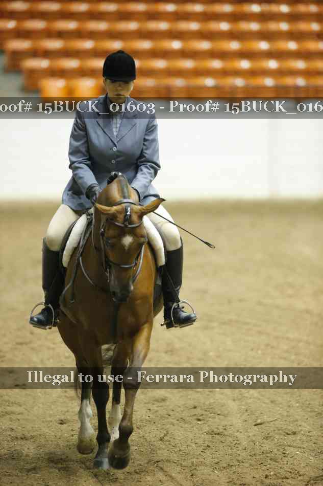Proof 15BUCK_01603
