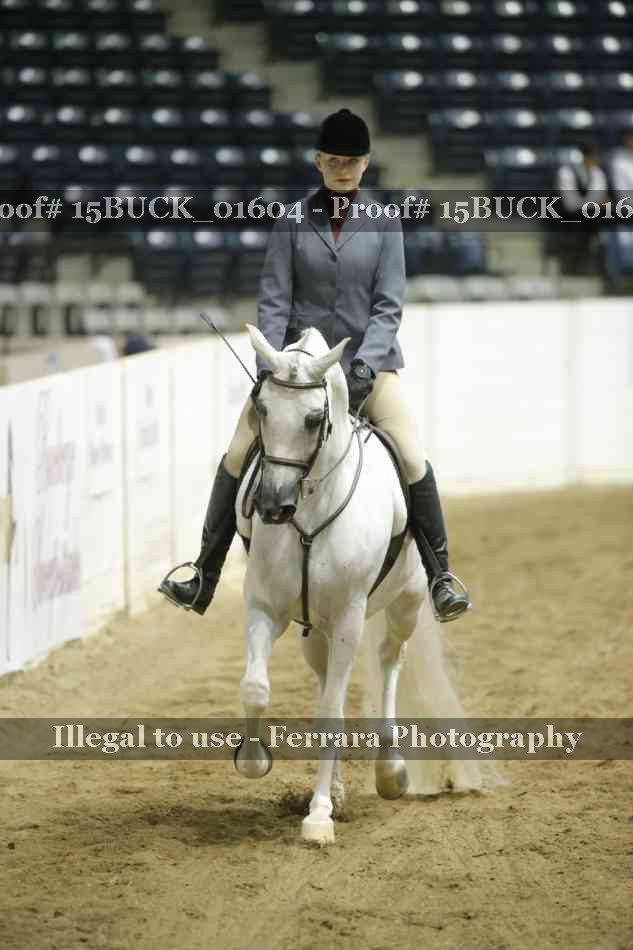 Proof 15BUCK_01604