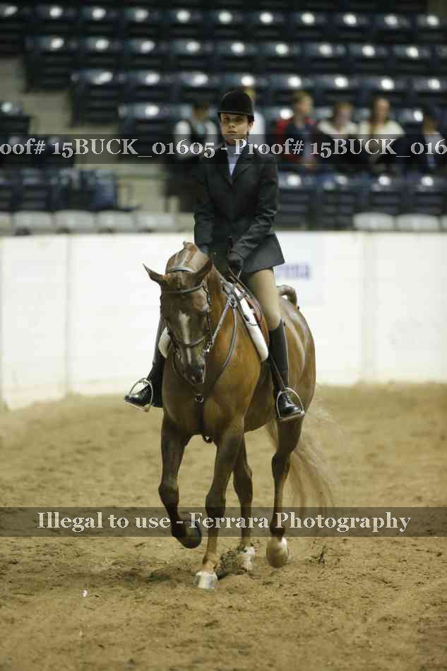Proof 15BUCK_01605