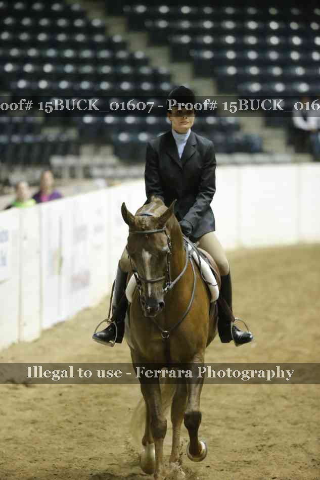 Proof 15BUCK_01607