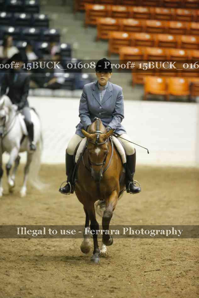 Proof 15BUCK_01608
