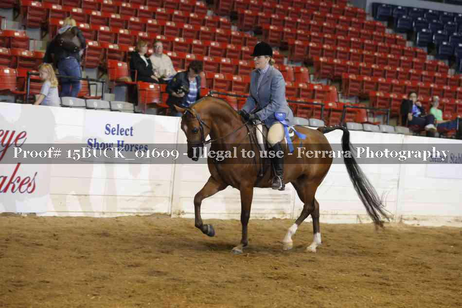 Proof 15BUCK_01609