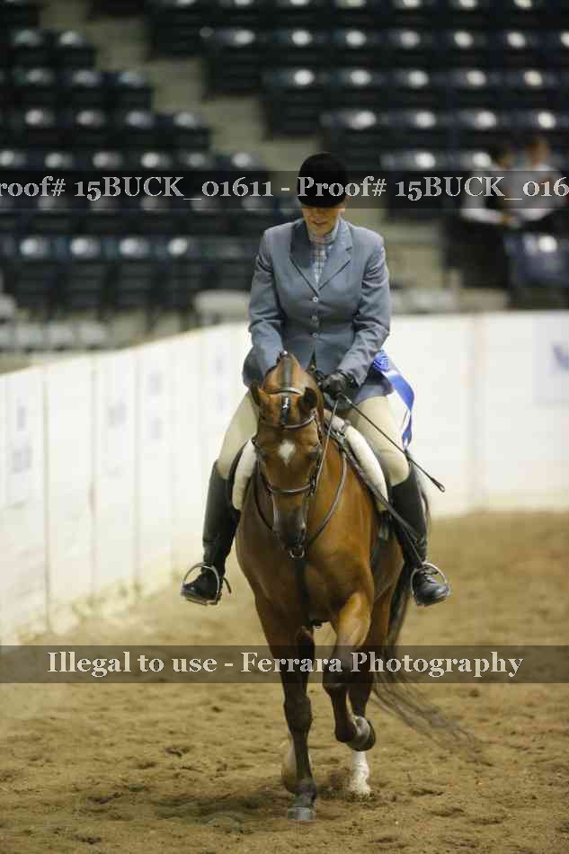 Proof 15BUCK_01611