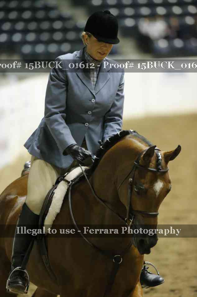 Proof 15BUCK_01612