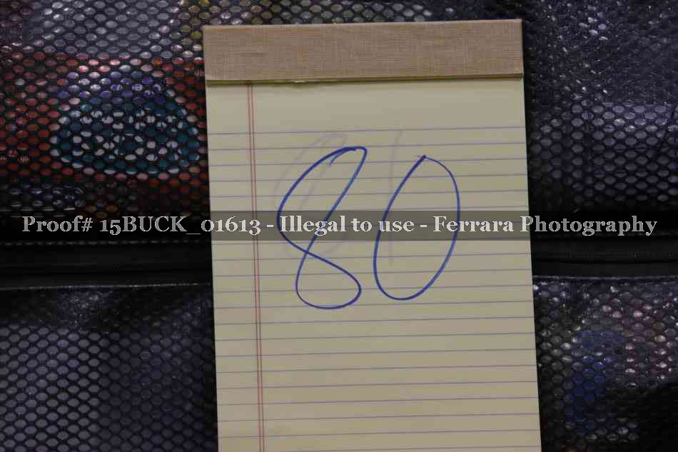 Proof 15BUCK_01613
