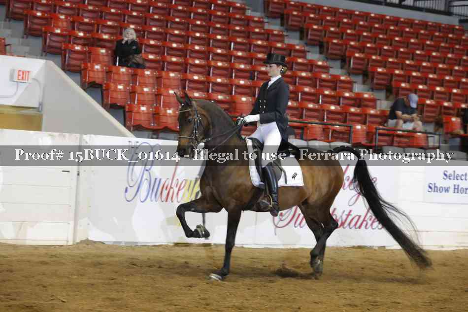 Proof 15BUCK_01614