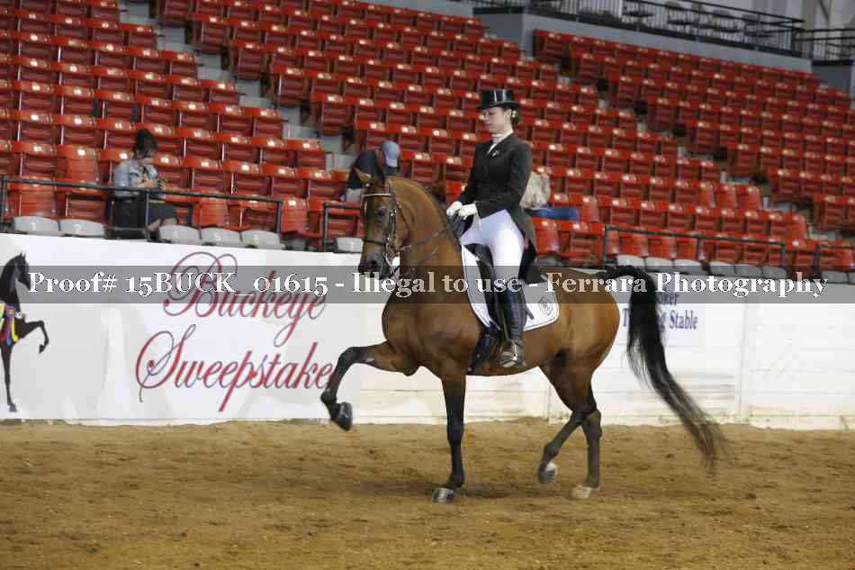 Proof 15BUCK_01615