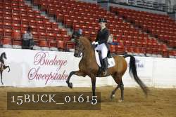 15BUCK_01615 proof