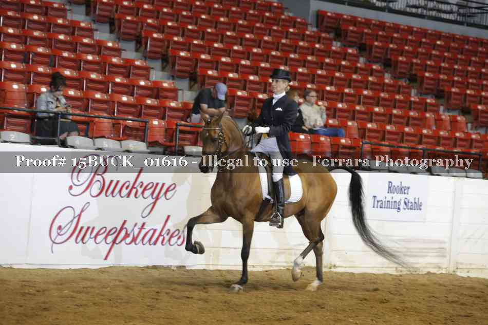 Proof 15BUCK_01616