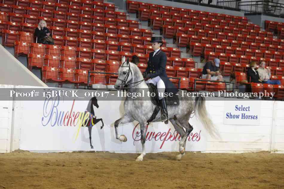Proof 15BUCK_01617