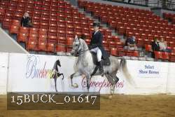 15BUCK_01617 proof