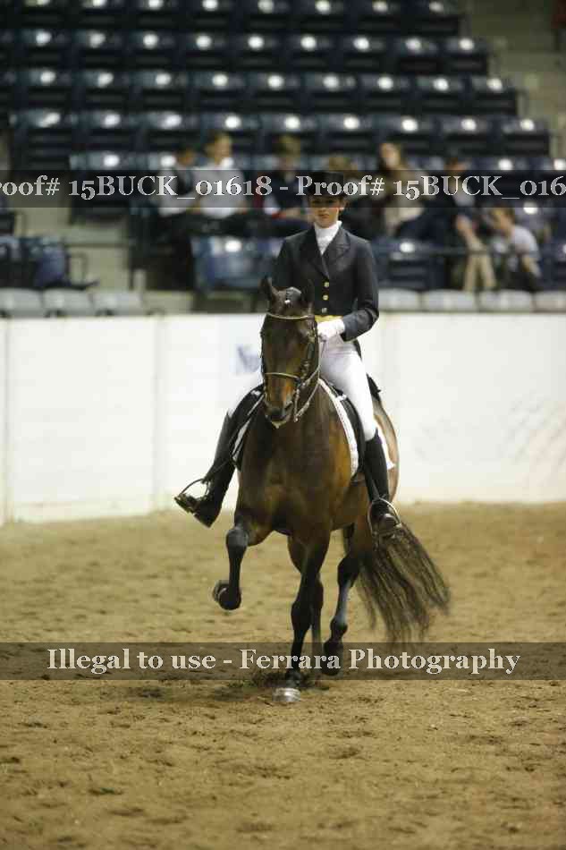 Proof 15BUCK_01618