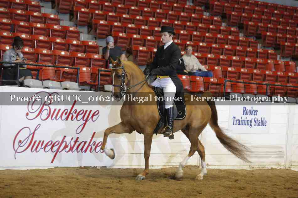 Proof 15BUCK_01621