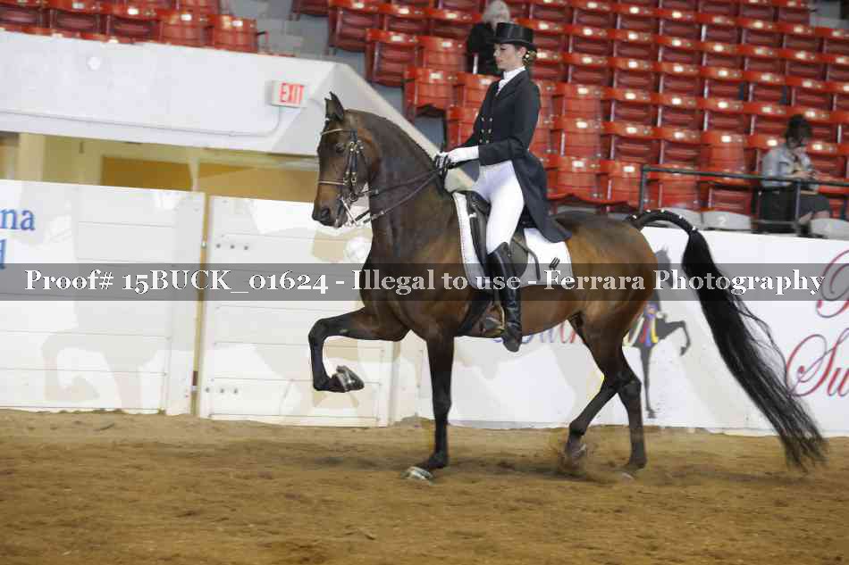 Proof 15BUCK_01624